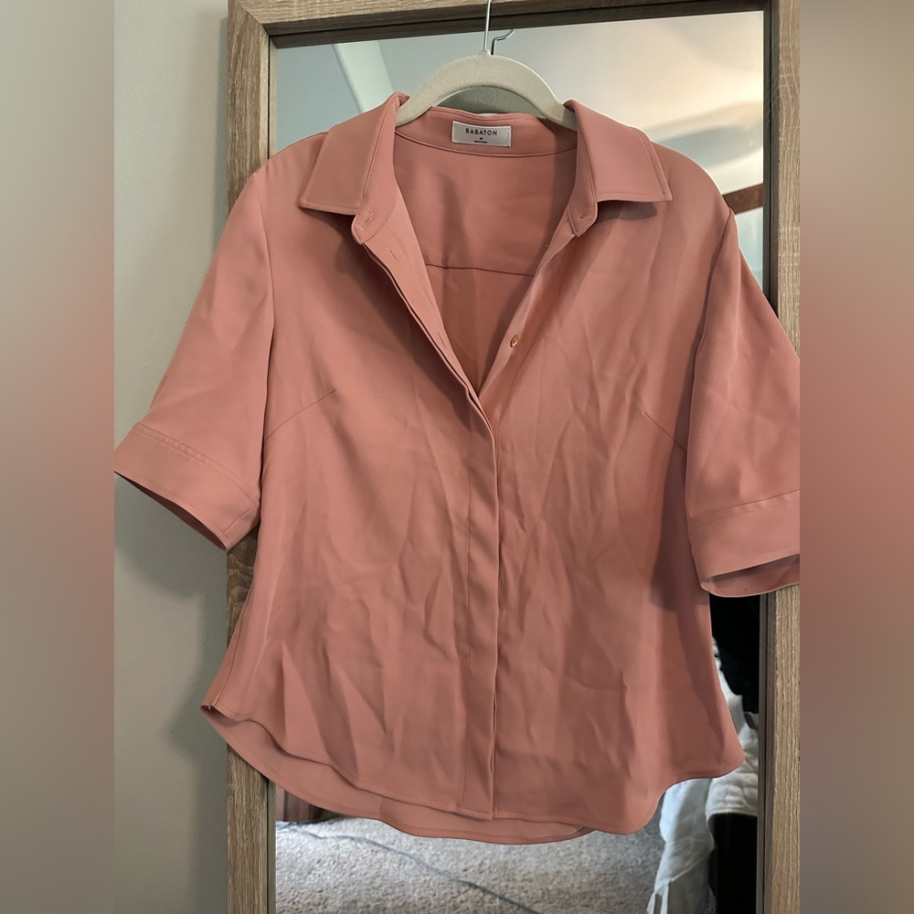Aritzia Babaton NWOT Pink Short Sleeve Blouse